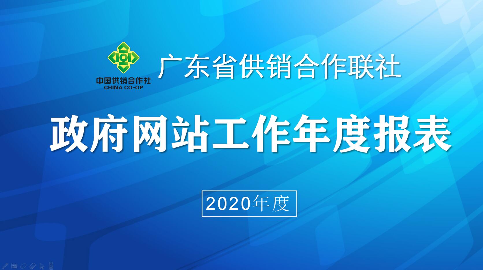 政府网站工作年度报表2020 图片.jpg