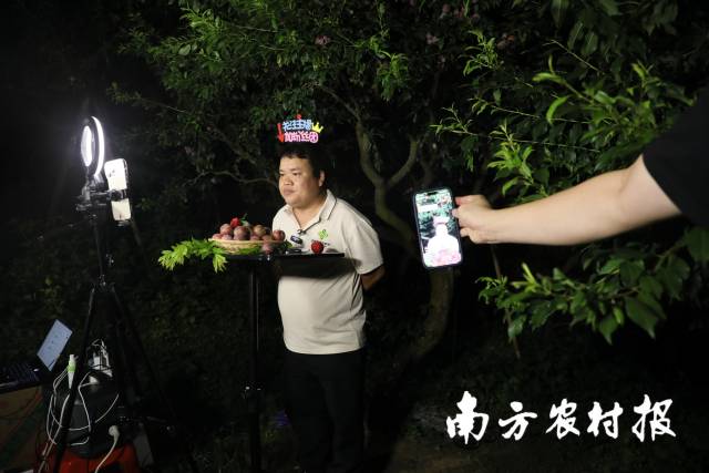 组建电商直播团队，拓宽三华李销售渠道