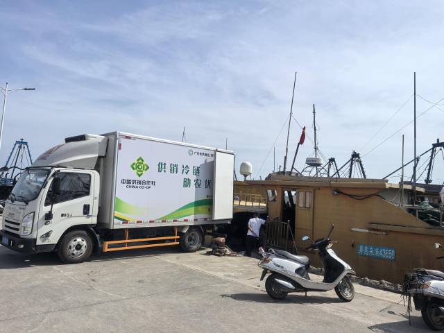 天业冷链为各地渔港提供服务。受访者供图
